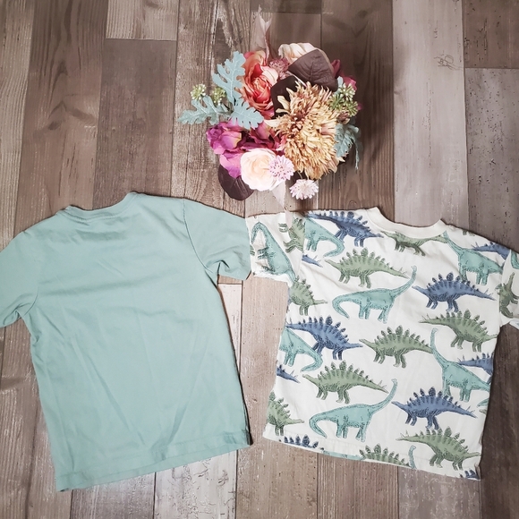 Boys Casual T-Shirt Bundle | Wonder Nation & Carter's | Size XS 4-5 and 5T | EUC - Picture 9 of 13